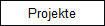 Projekte